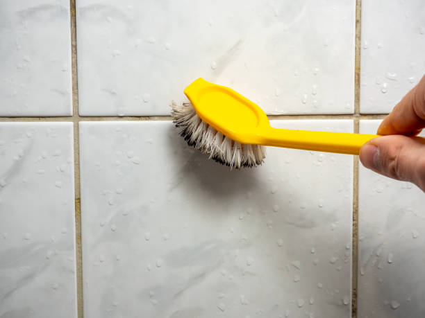Best Industrial Mold Remediation in Ingleside, TX
