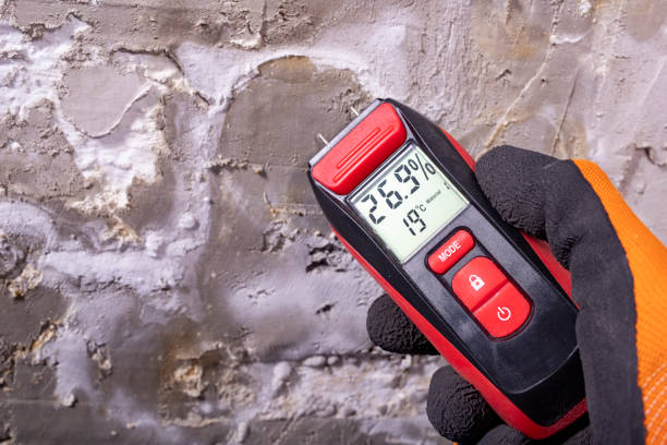 Best DIY Mold Remediation Support Services in Ingleside, TX