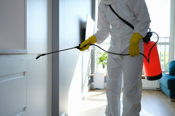 Best Industrial Mold Remediation in Ingleside, TX