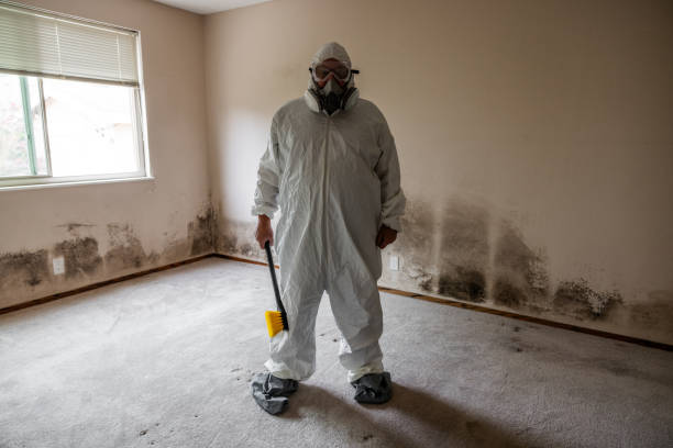 Best Crawl Space Mold Remediation in Ingleside, TX